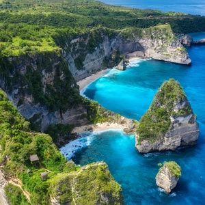 Meet your Posher, Riley